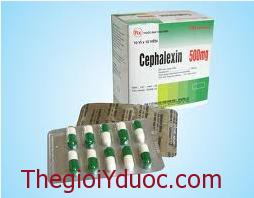 Cephalexin 