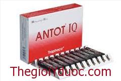 ANTOT IQ